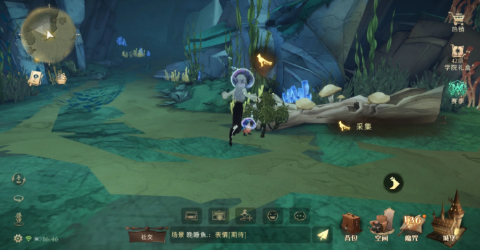 哈利波特魔法觉醒水陆植物怎么采集_哈利波特魔法杖
