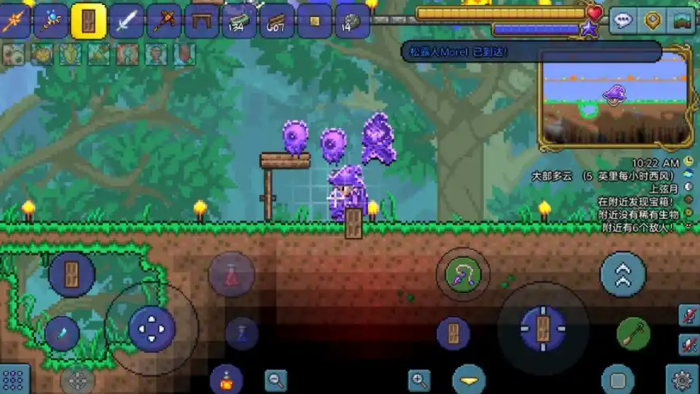 泰拉瑞亚灵雾有什么作用3