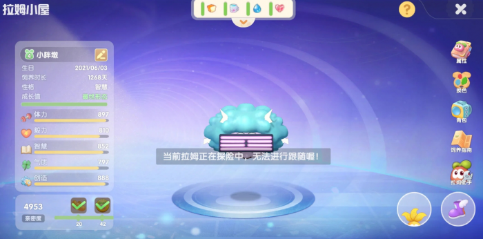 摩尔庄园潮汐漩涡探险要注意什么2