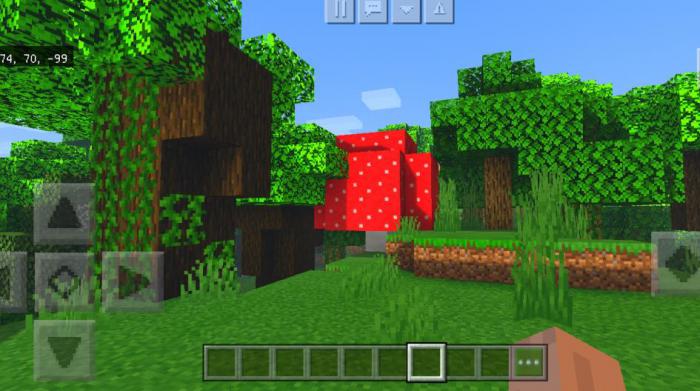 我的世界新手入门技巧有哪些3