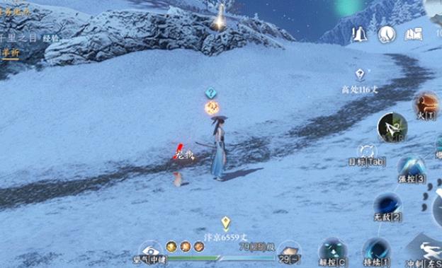 逆水寒手游宠物有什么用1