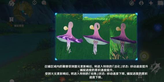原神当中的蕈兽该怎么打1