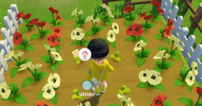 心动小镇花卉怎么杂交1