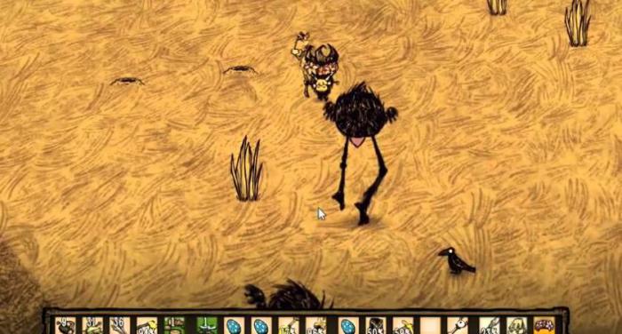 饥荒鸟类怎么抓1