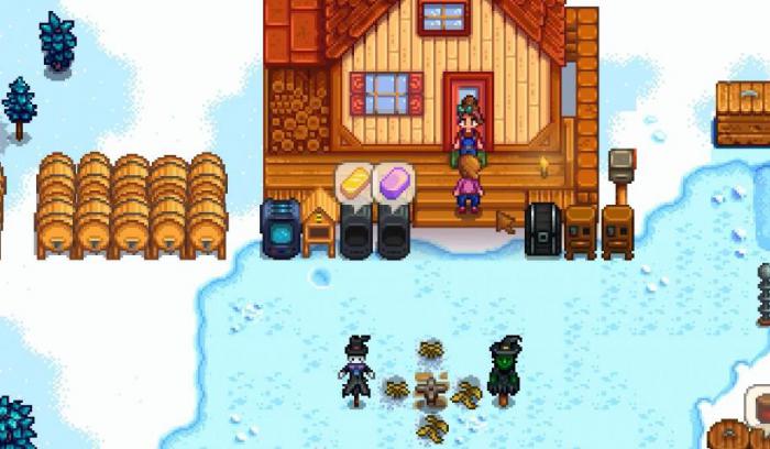 星露谷物语冬天应该干什么1