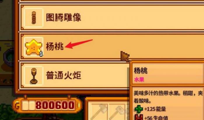 星露谷物语夏天种什么赚钱3