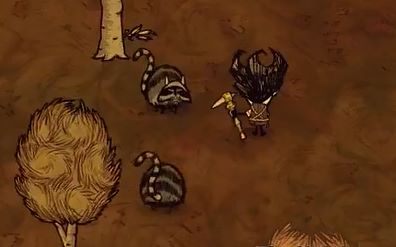 饥荒当中的浣熊有什么用3