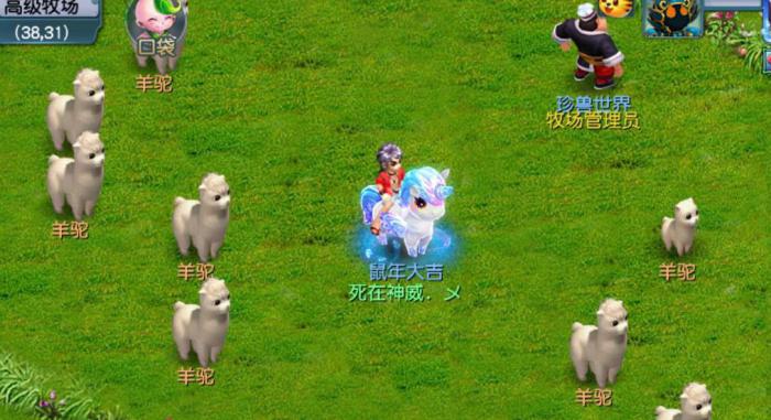 梦幻西游怎么养羊驼1