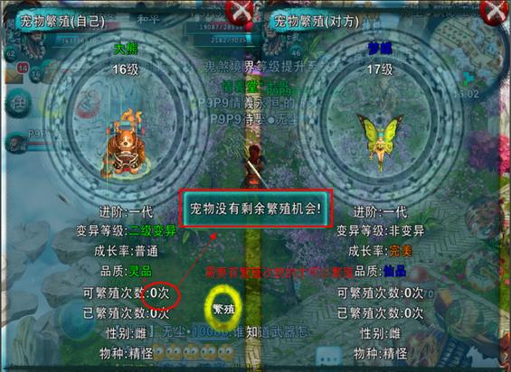 忘仙千载蝴蝶怎么抓3