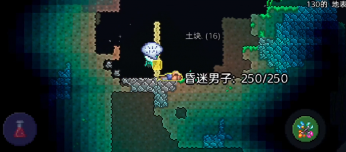 泰拉瑞亚怎么让酒保入住1