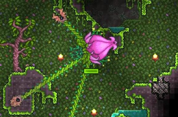 泰拉瑞亚世纪之花怎么召唤1