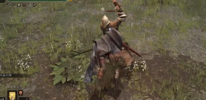 艾尔登法环有着特殊效果的套装有哪些1