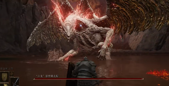 艾尔登法环有哪些强力的盾牌武器1