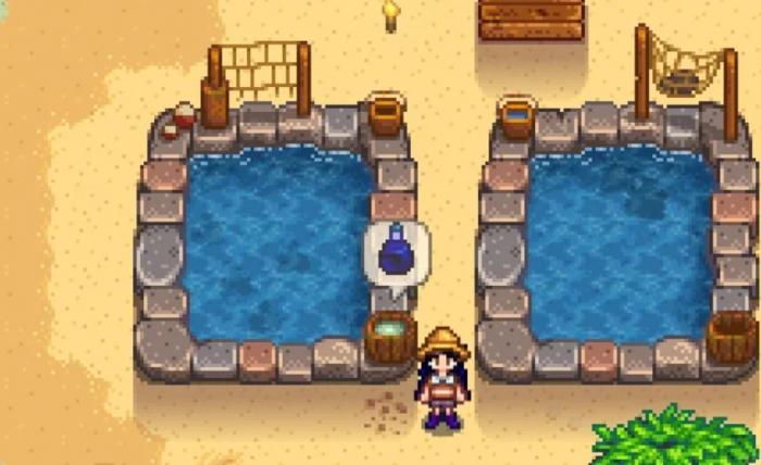 星露谷物语鱿鱼都有哪些用途_星露谷物语的鱿鱼在哪钓