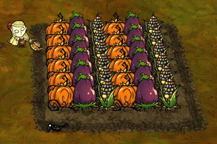 饥荒联机版什么作物性价比高2