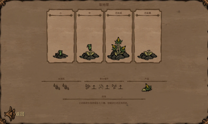 饥荒联机版杂草有什么作用2