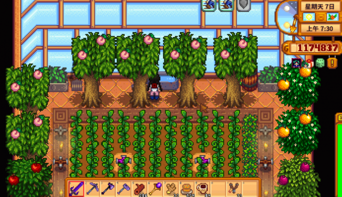 星露谷物语花盆如何使用2