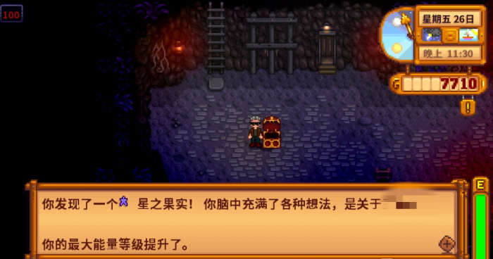 星露谷物语全图鉴收集完之后能做什么3