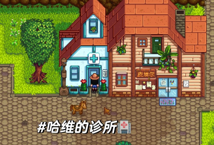 星露谷物语哈维诊所和绿洲有什么_星露谷物语哈维医生剧情