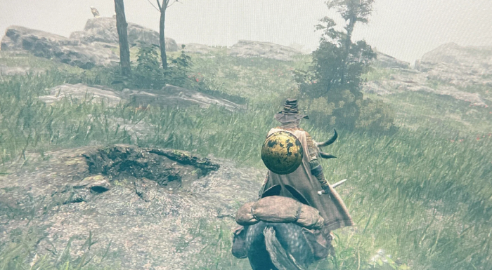 艾尔登法环战士壶攻略怎么做_艾尔登法环战斗系统