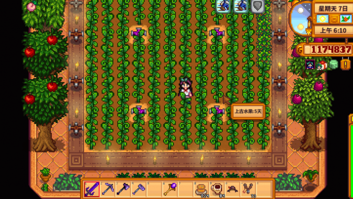 星露谷物语古代种子有哪些特性2