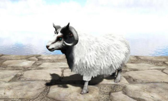 方舟生存进化绵羊怎么驯服_方舟生存进化绵羊有什么用