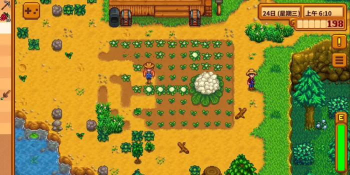 星露谷物语花椰菜最少种植几个1