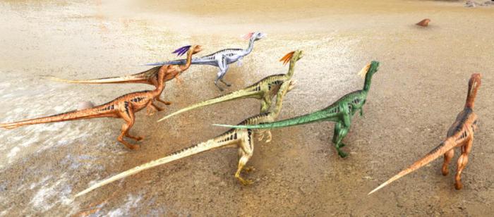 方舟生存进化美颌龙特性是什么1