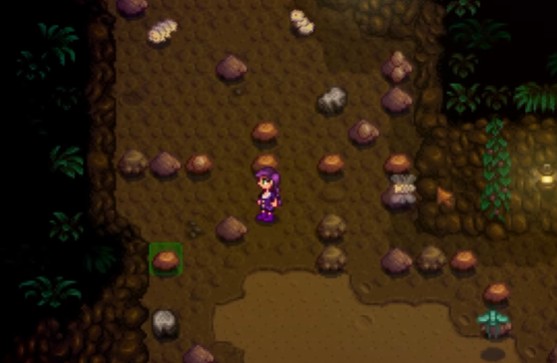 星露谷物语怎么刷蛆1