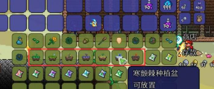 泰拉瑞亚种植盆怎么用_泰拉瑞亚种植盆怎么获取