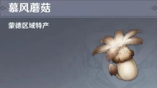 原神如何得到慕风蘑菇_原神得到慕风蘑菇后怎么办