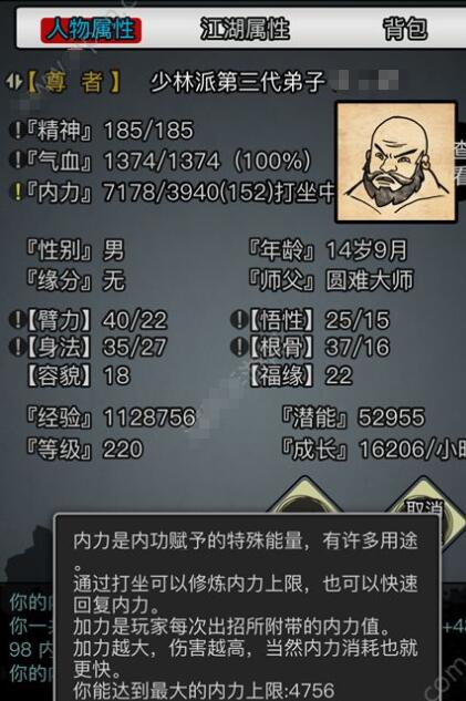 放置江湖神兵注入内力有什么用1