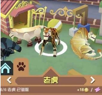 疯狂动物园的斑马怎么抓_疯狂动物园的斑马全部种类