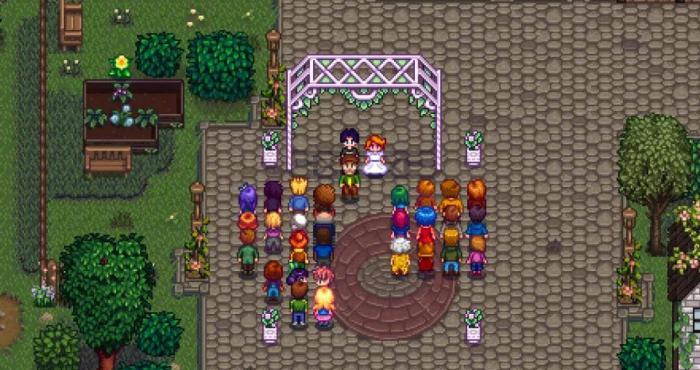 星露谷物语十颗心怎么结婚1