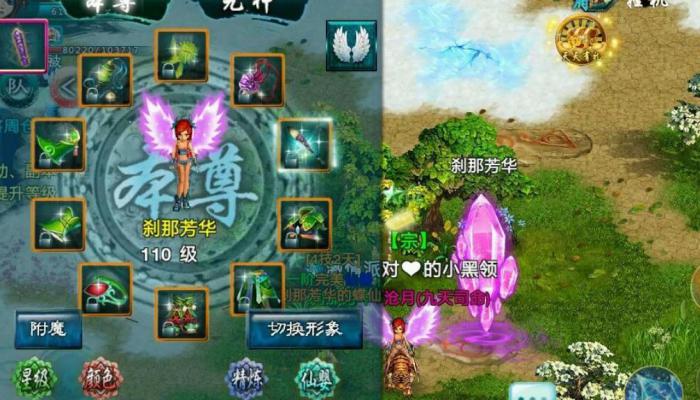 忘仙如何提高宠物携带等级1