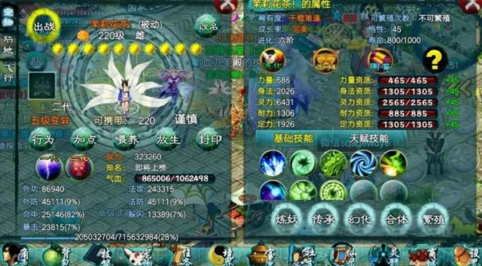 忘仙易经丹怎么用1