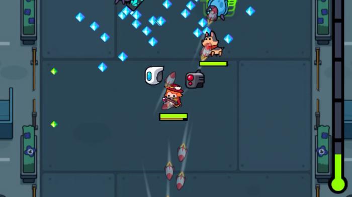 弹壳特攻队宠物带什么3