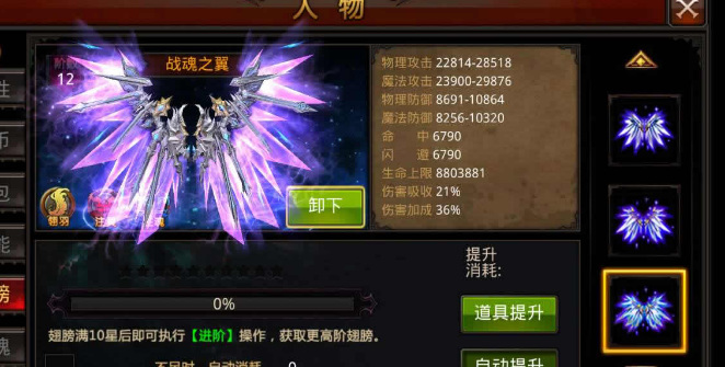 全民奇迹怎么带双仗3