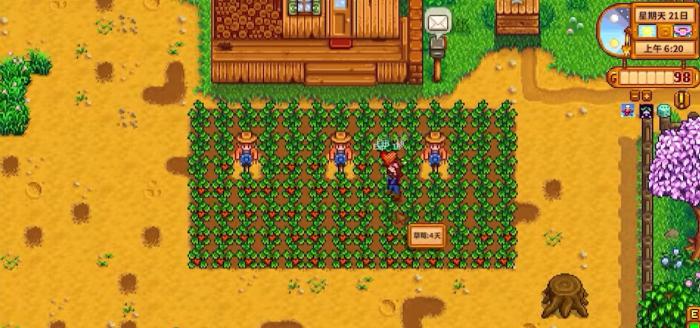 星露谷物语什么流程值得推荐3