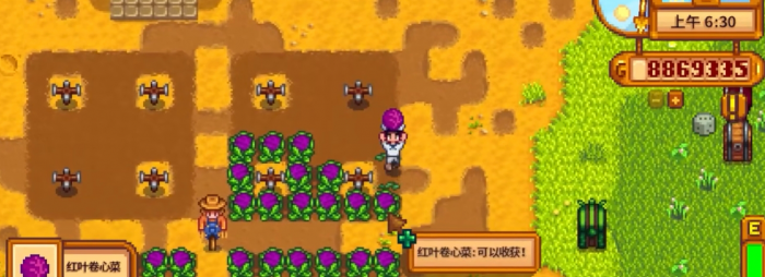 星露谷物语果酱和酿酒的收益哪个更高_星露谷物语酿酒果酱收益表