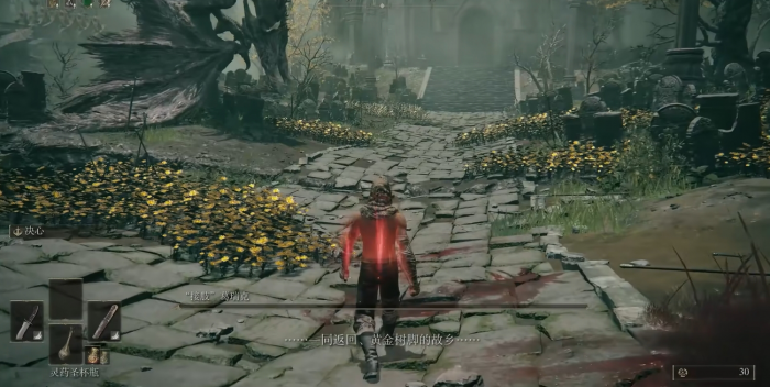 艾尔登法环双匕首怎么加点3