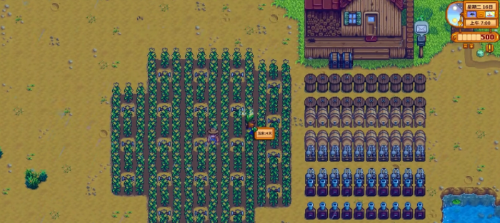 星露谷物语玉米和蓝莓哪个收益高2