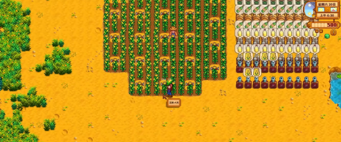 星露谷物语玉米和蓝莓哪个收益高3