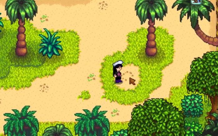 星露谷物语姜岛在哪里去_星露谷物语姜岛攻略