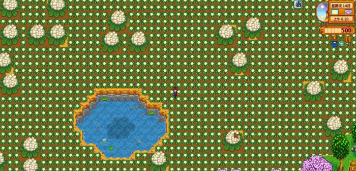 星露谷物语怎么种出巨大作物3