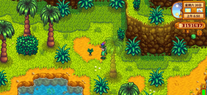 星露谷物语姜有什么用_星露谷物语姜岛怎么解锁