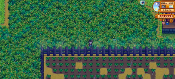 星露谷物语有哪几种围栏3