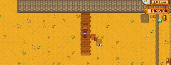 星露谷物语地板有什么用3