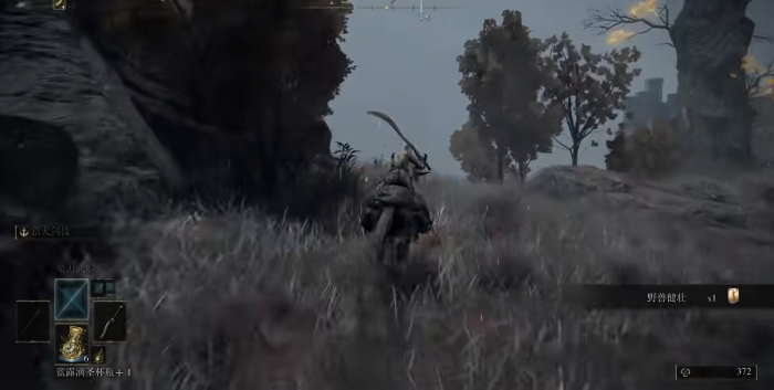 艾尔登法环全流程顺序怎么走2