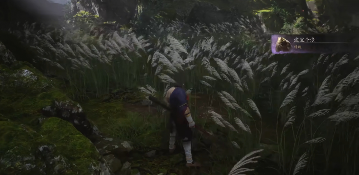 黑神话悟空波里个浪怎么打3